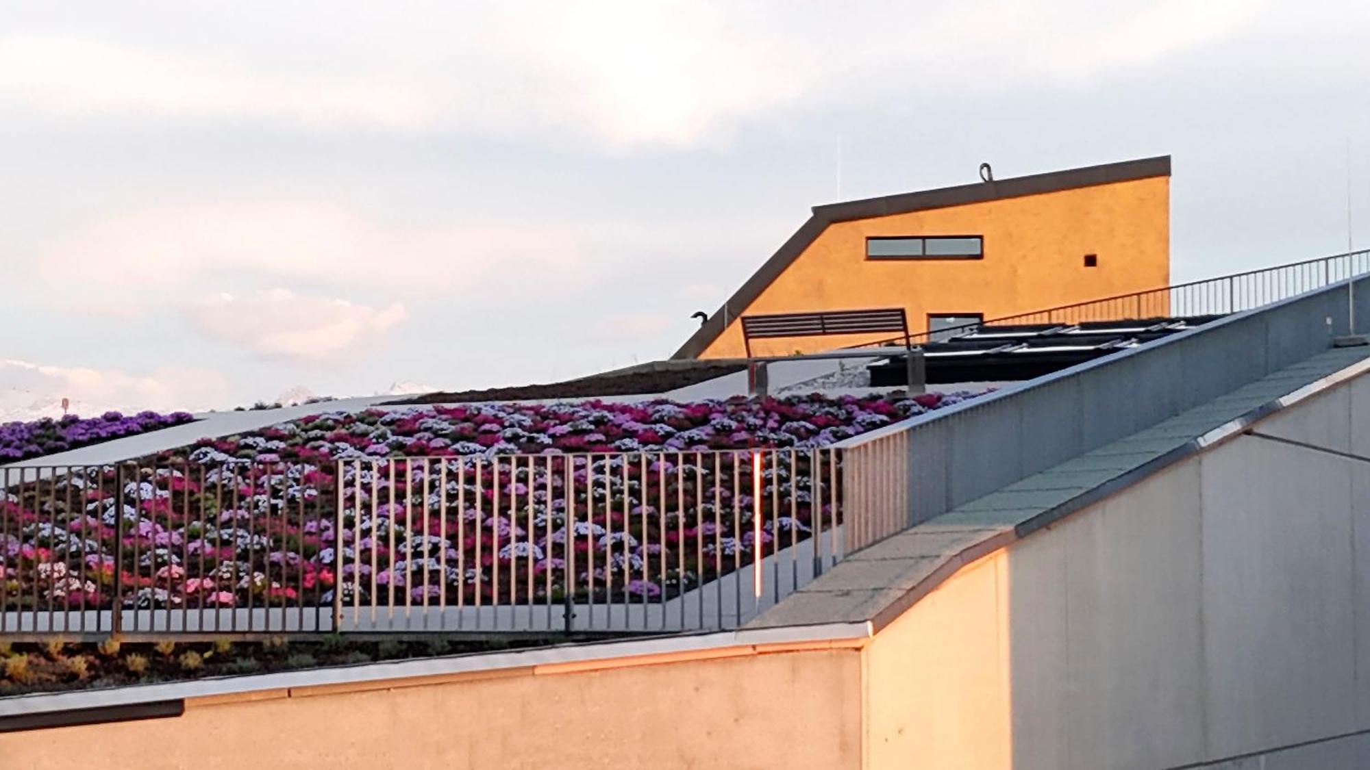 Hotel Im Zentrum Fuer Visionen Puch bei Hallein Exteriör bild