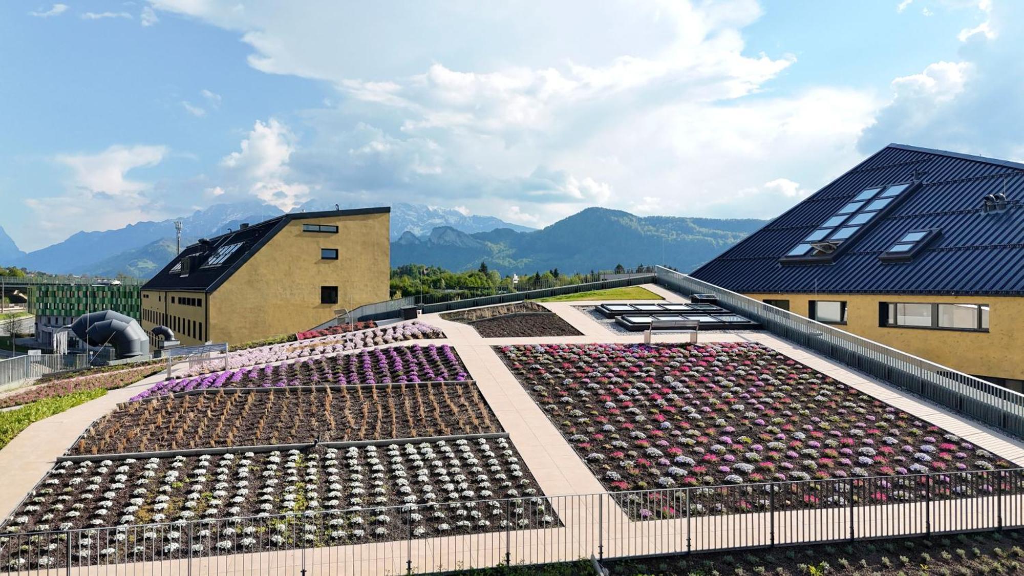 Hotel Im Zentrum Fuer Visionen Puch bei Hallein Exteriör bild